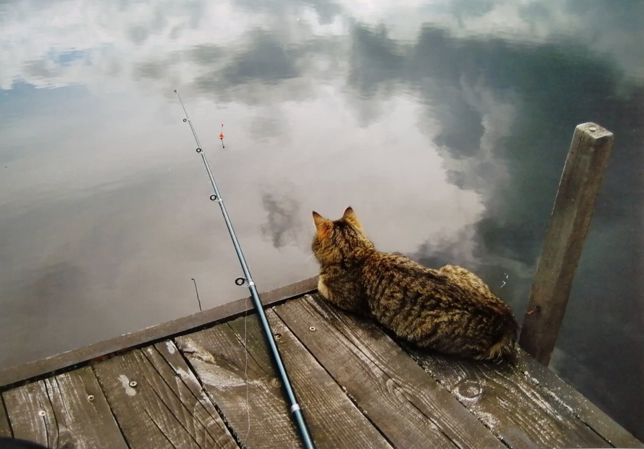 Белорусские рыбаки жалуются, что не клюёт рыба.jpg