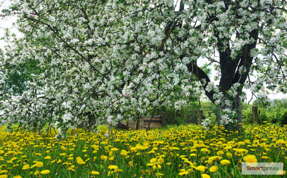 миоры8.jpg миоры8.jpg