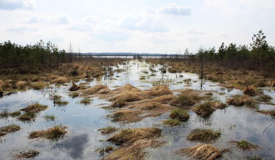 миоры13.jpg миоры13.jpg