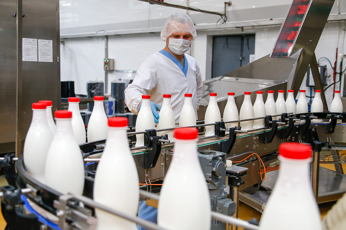 Молочный комбинат