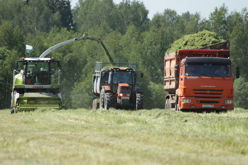 Работа для белорусов в Подмосковье: где реально хорошие условия