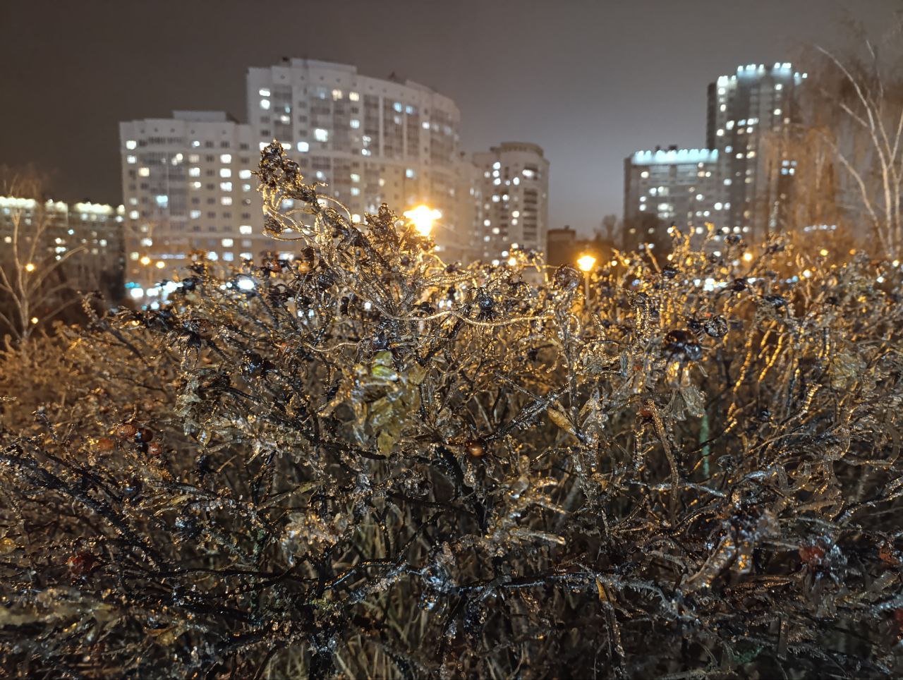 погода декабрь мороз.jpg