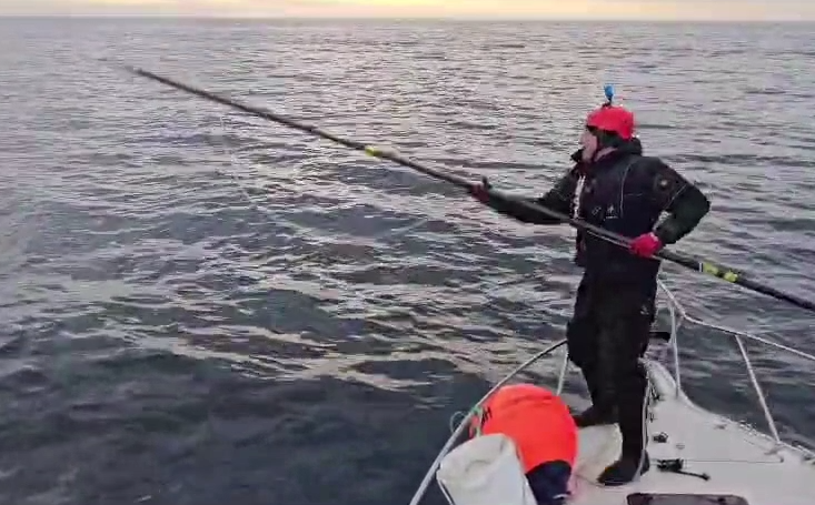 Спасатели два часа гонялись за китом по Баренцевому морю, чтобы снять с него веревку.PNG