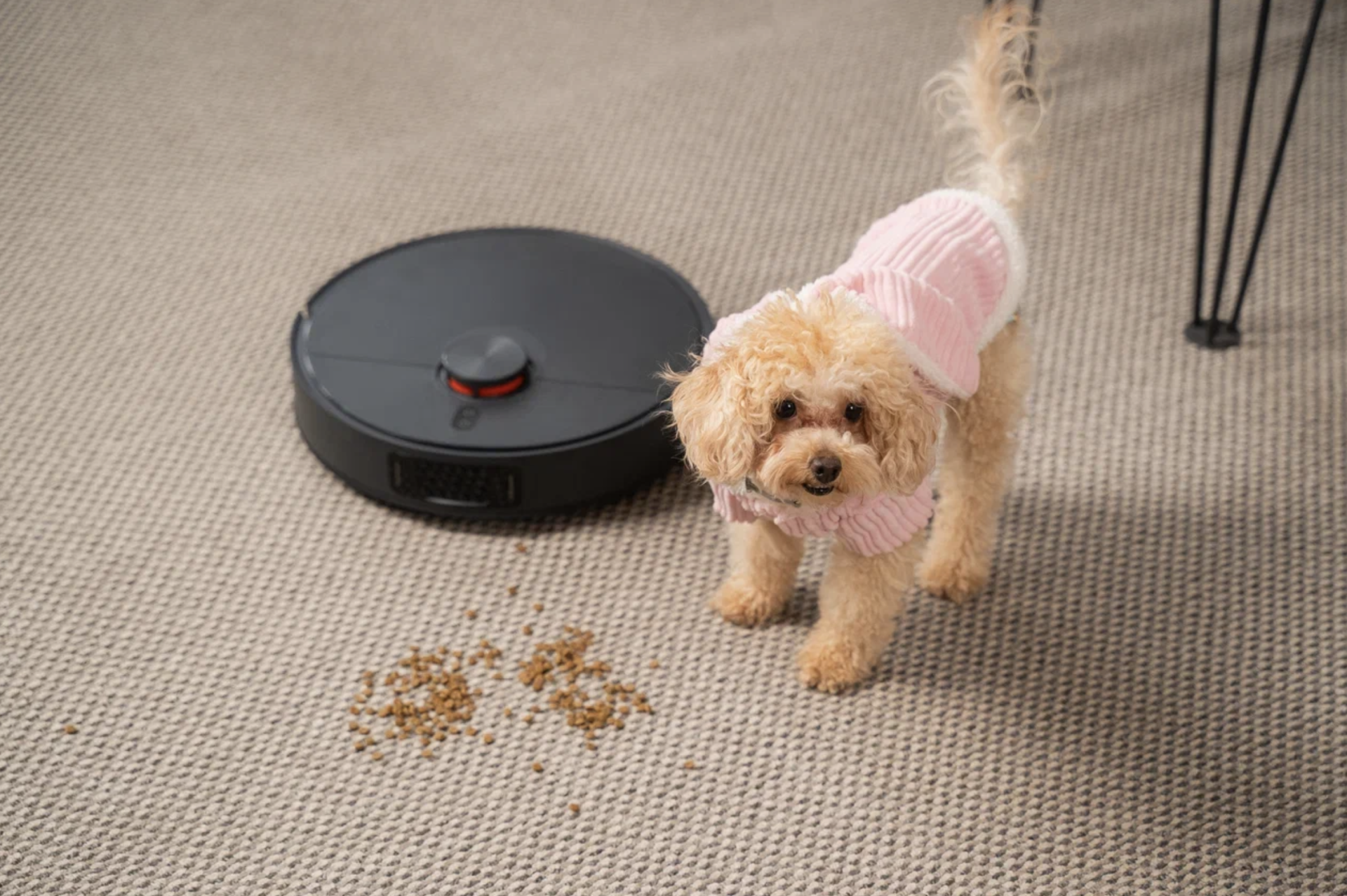 Питомец просыпал корм в ваше отсутствие? Вы об этом даже не узнаете: к вечеру будет идеально чисто