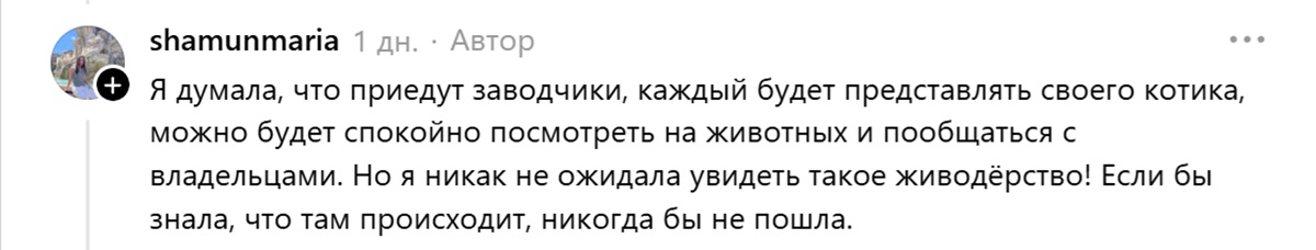 коммент_кошки коммент_кошки
