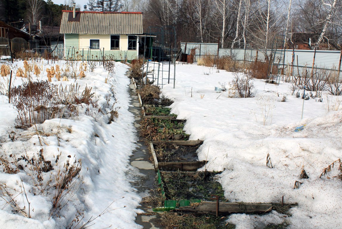 photo_2026-01-25_20-19-10 (3).jpg