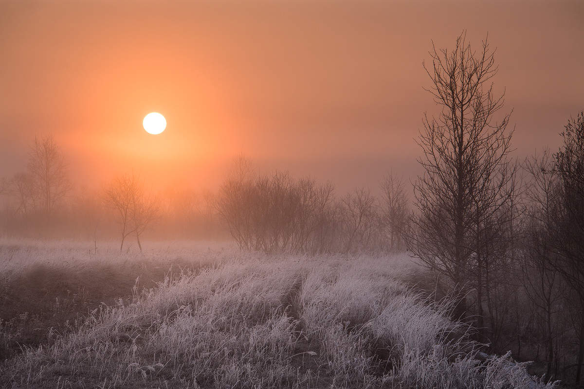 морозное апрельское утро