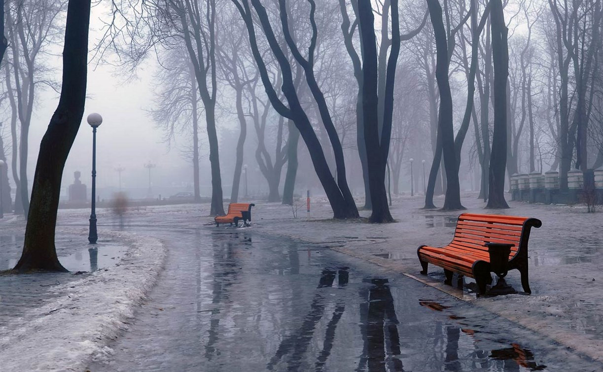 туманный декабрь