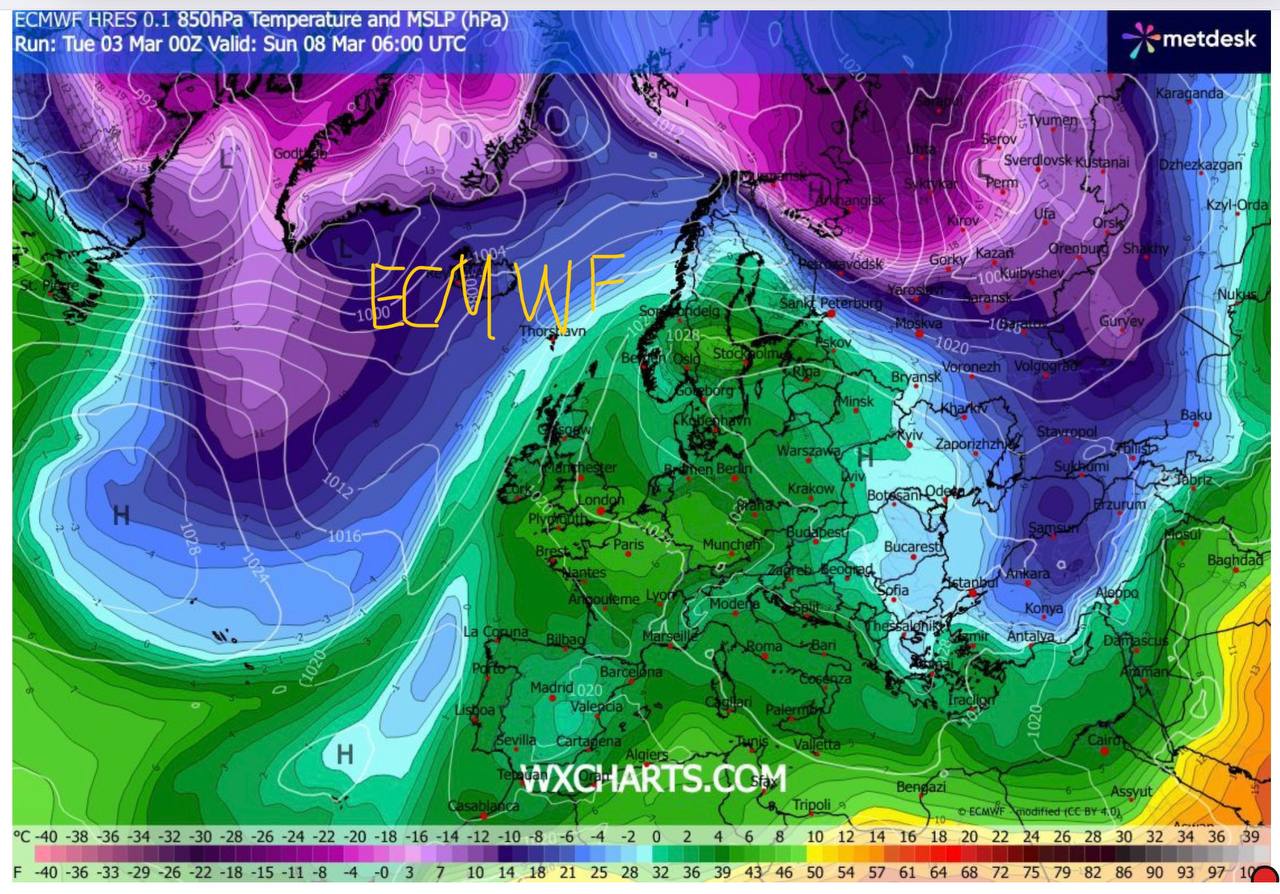 Прогноз по температуре 8 марта от Европейского центра среднесрочных прогнозов погоды (ECMWF)