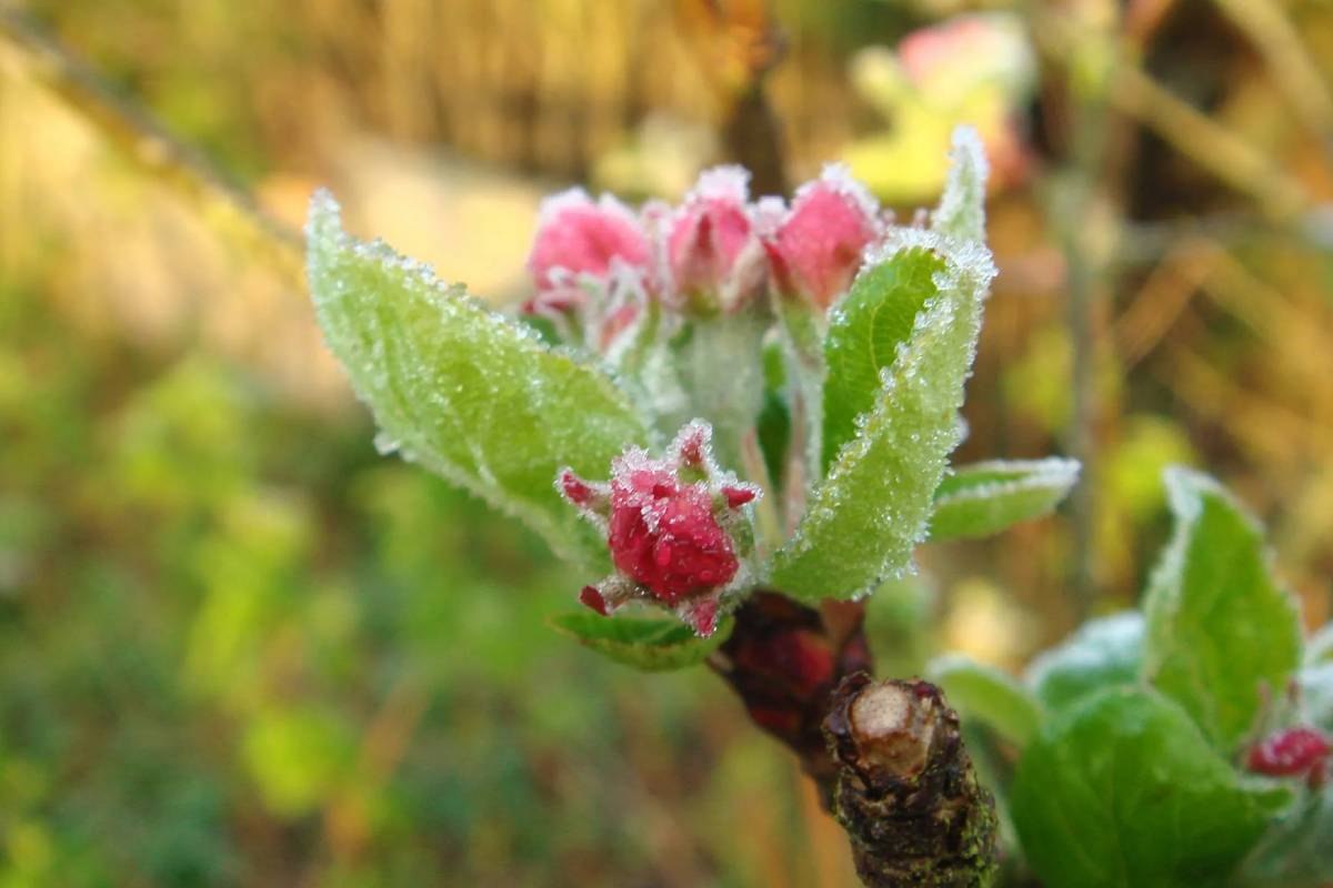 photo_2026-04-15_16-04-01 (2).jpg