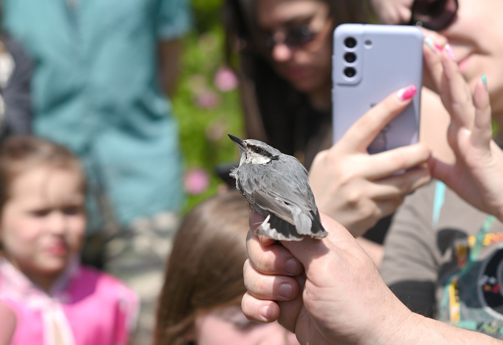 22-Поползень на кольцевании.jpg