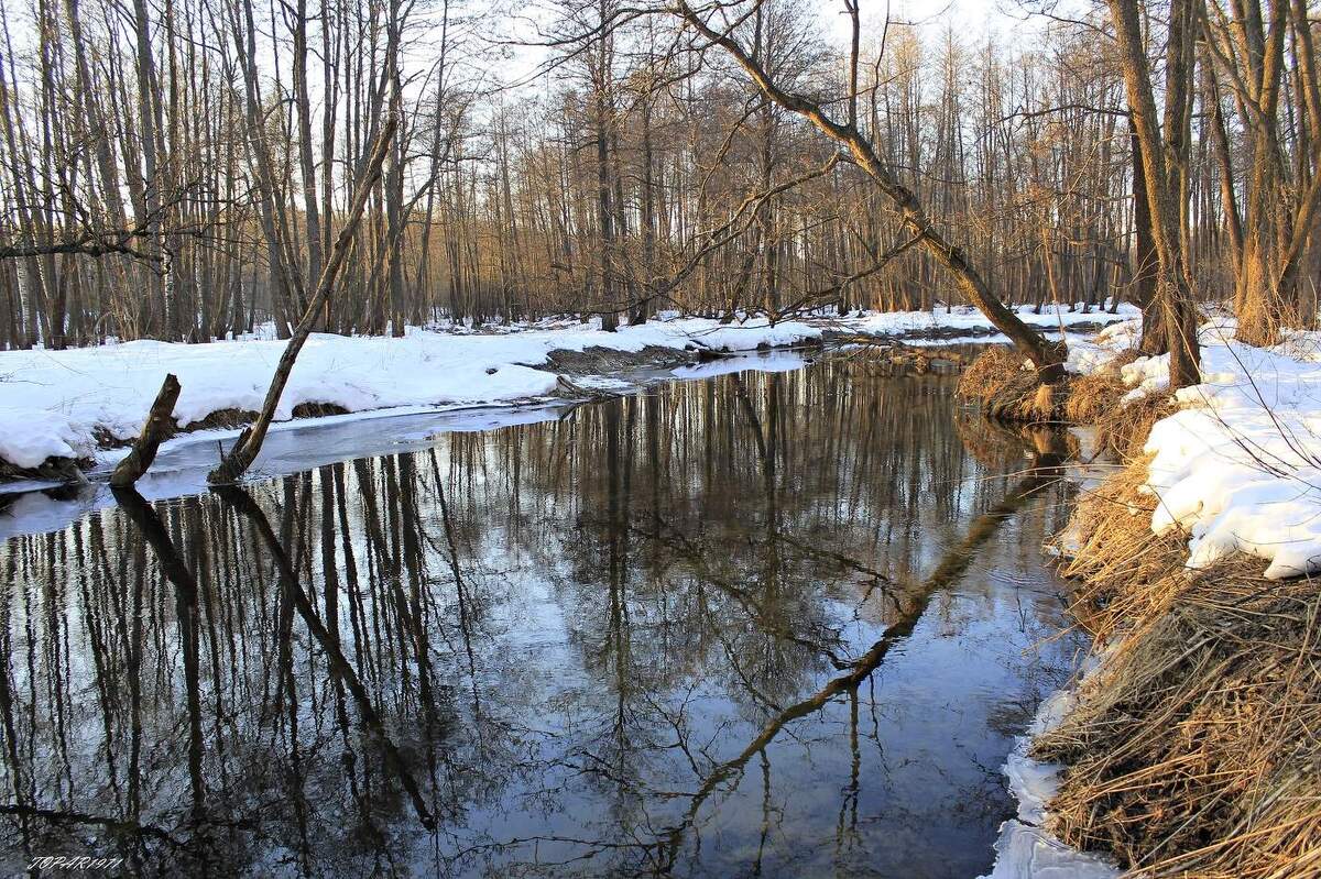 река весной