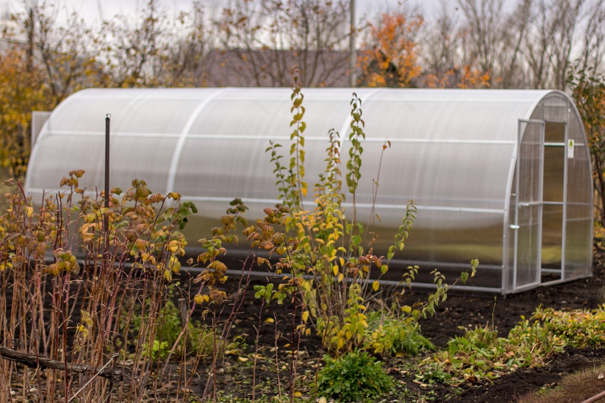 теплица 2.jpg