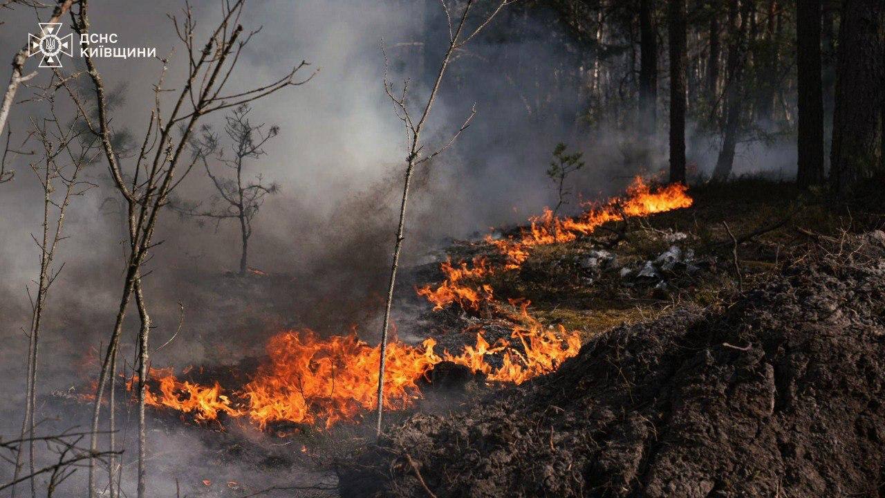 пожар возле ЧАЭС