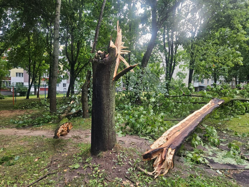 непогода