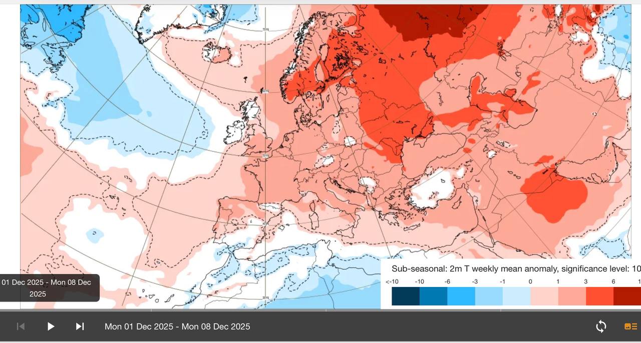 теплый декабрь.jpg