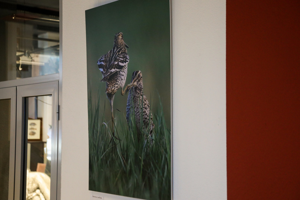 битва за любовь