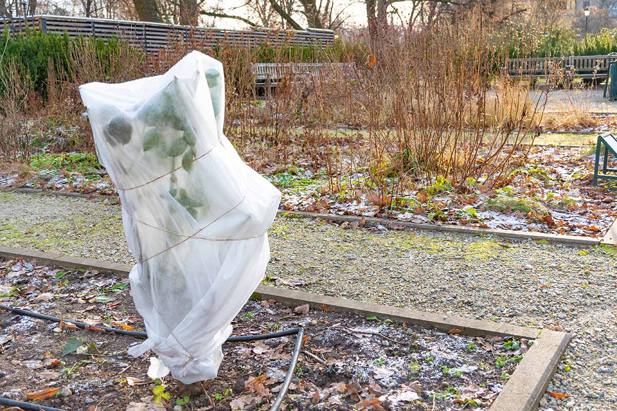 photo_2026-03-29_13-49-51 (5).jpg