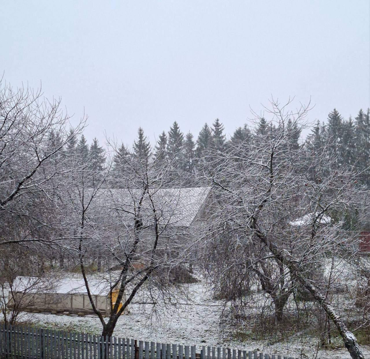 Орша, первый снег.jpg