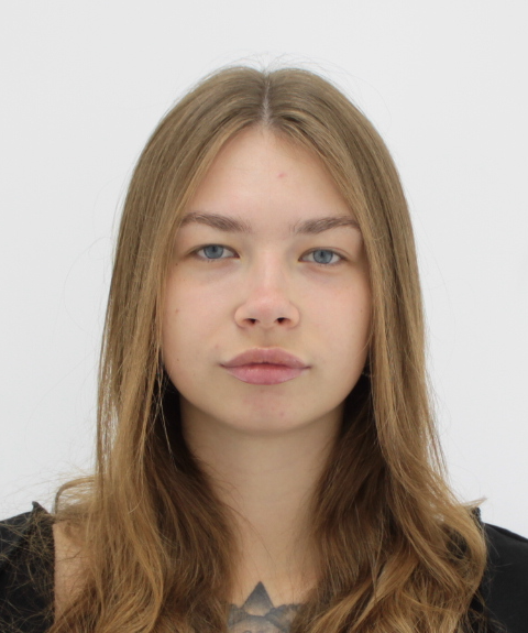 турагент, фото СК.png