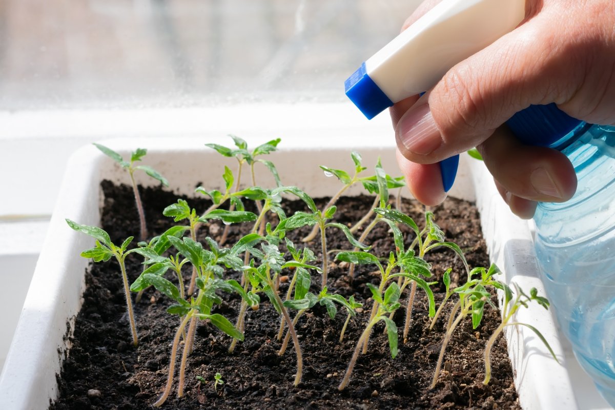 photo_2026-03-18_12-38-50 (3).jpg