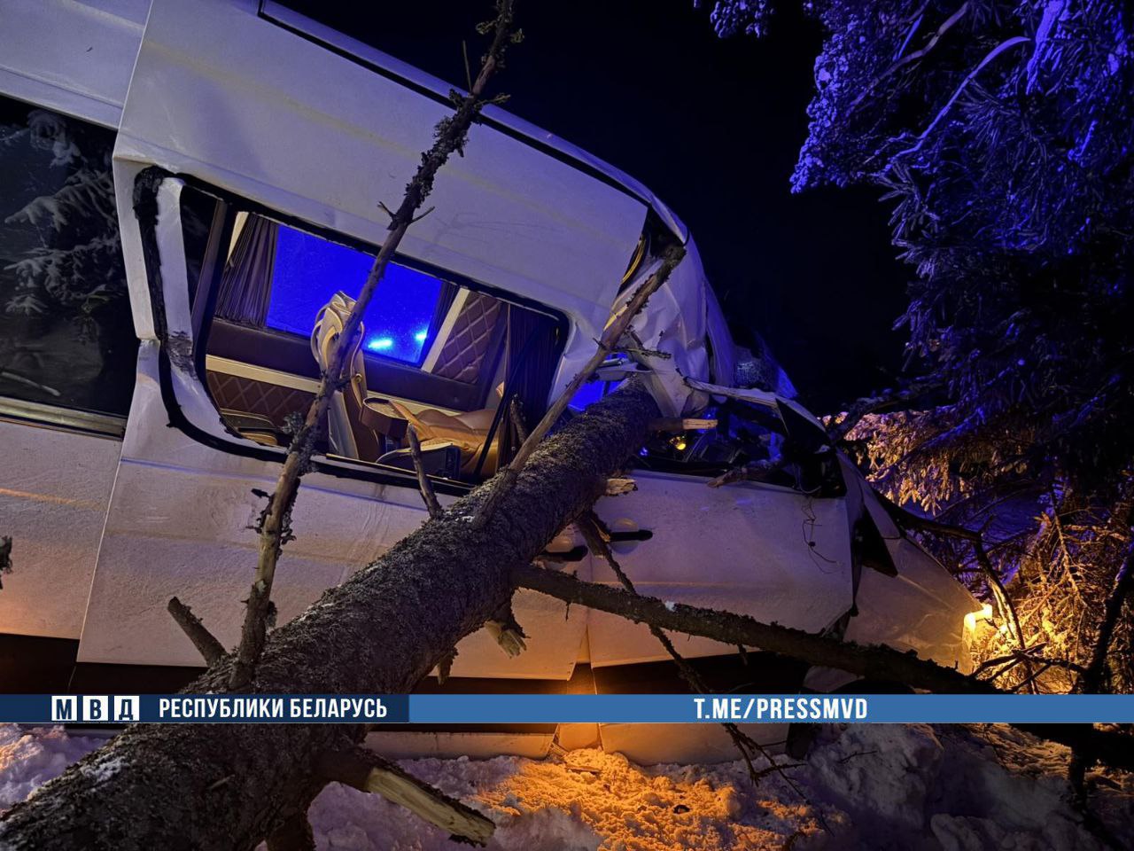 маршрутка и дерево