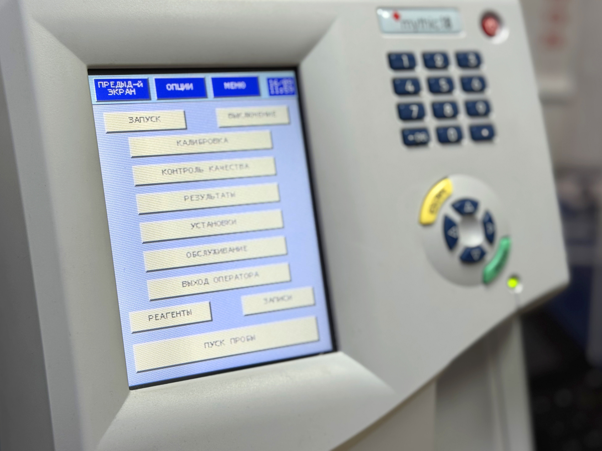 Анализ крови кота