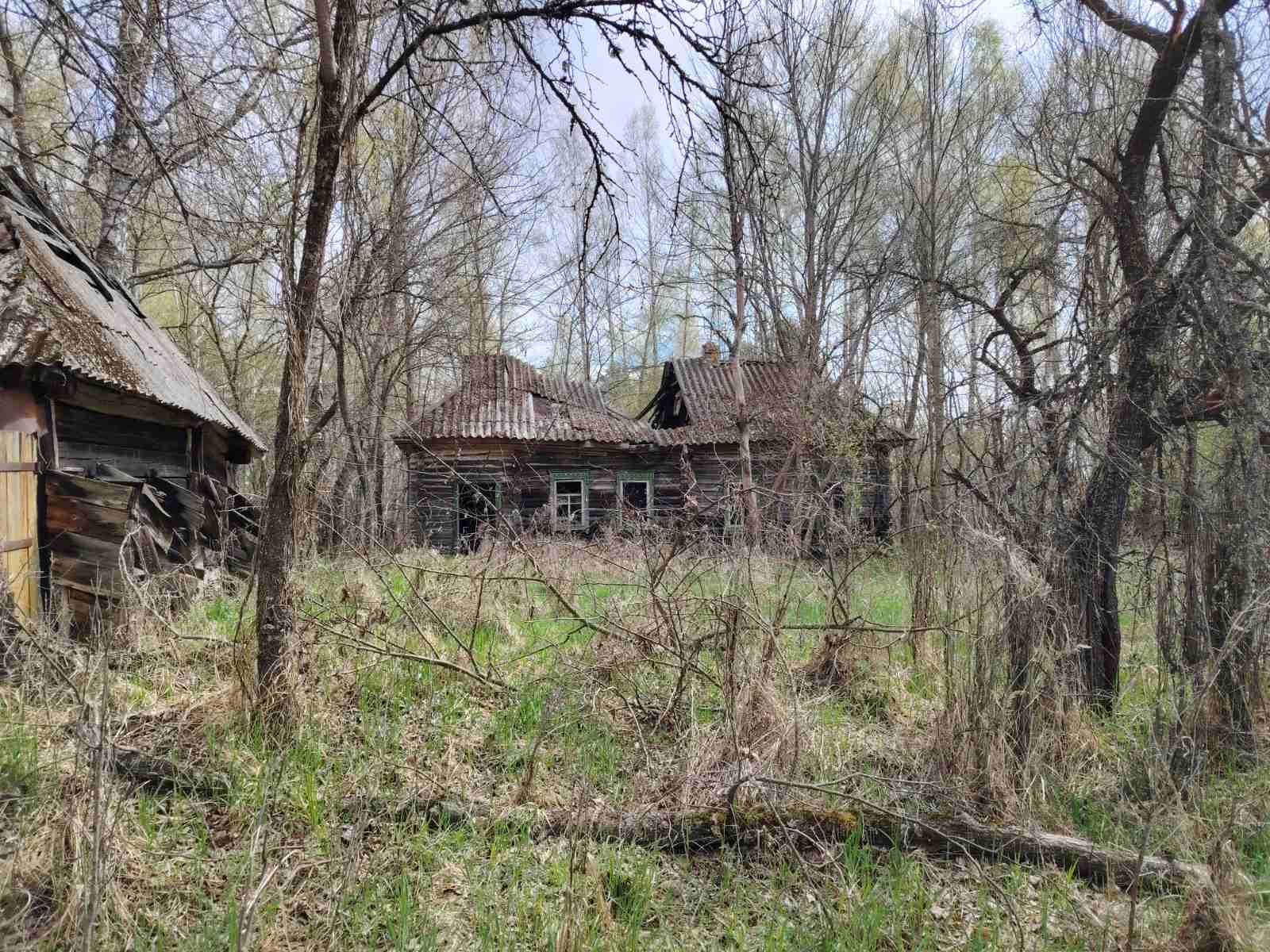 Чернобыль Рогатко.jpg