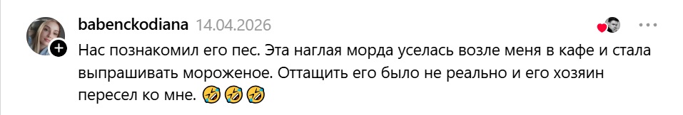 собака познакомила