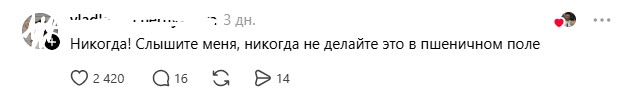 пшеничное поле.jpg пшеничное поле.jpg