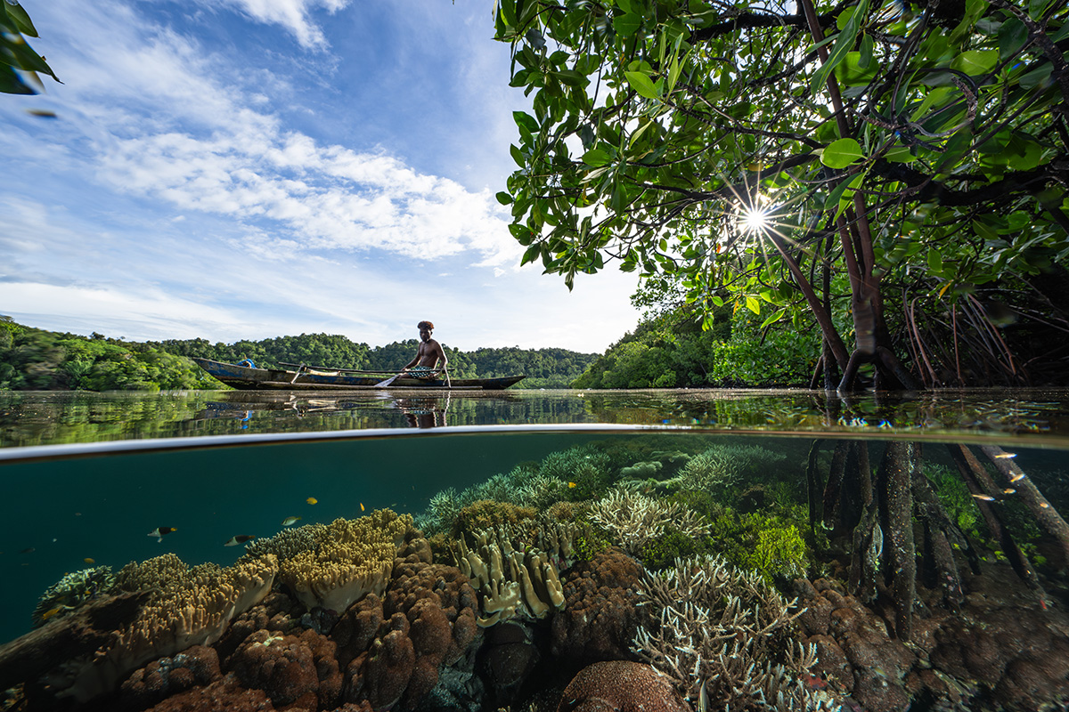 Connecting-Oceans-Honorable-Mention-Wendy-Mitchell