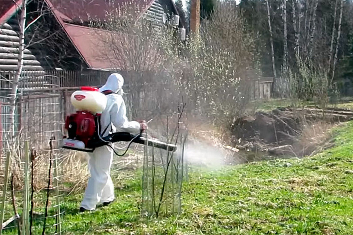 Как бороться с клещами на даче 1.jpg