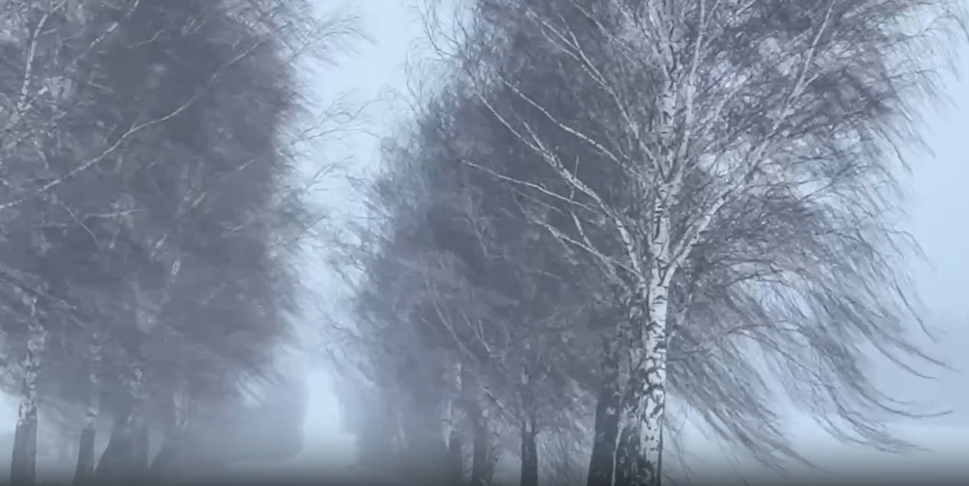 снежный шторм в Беларуси