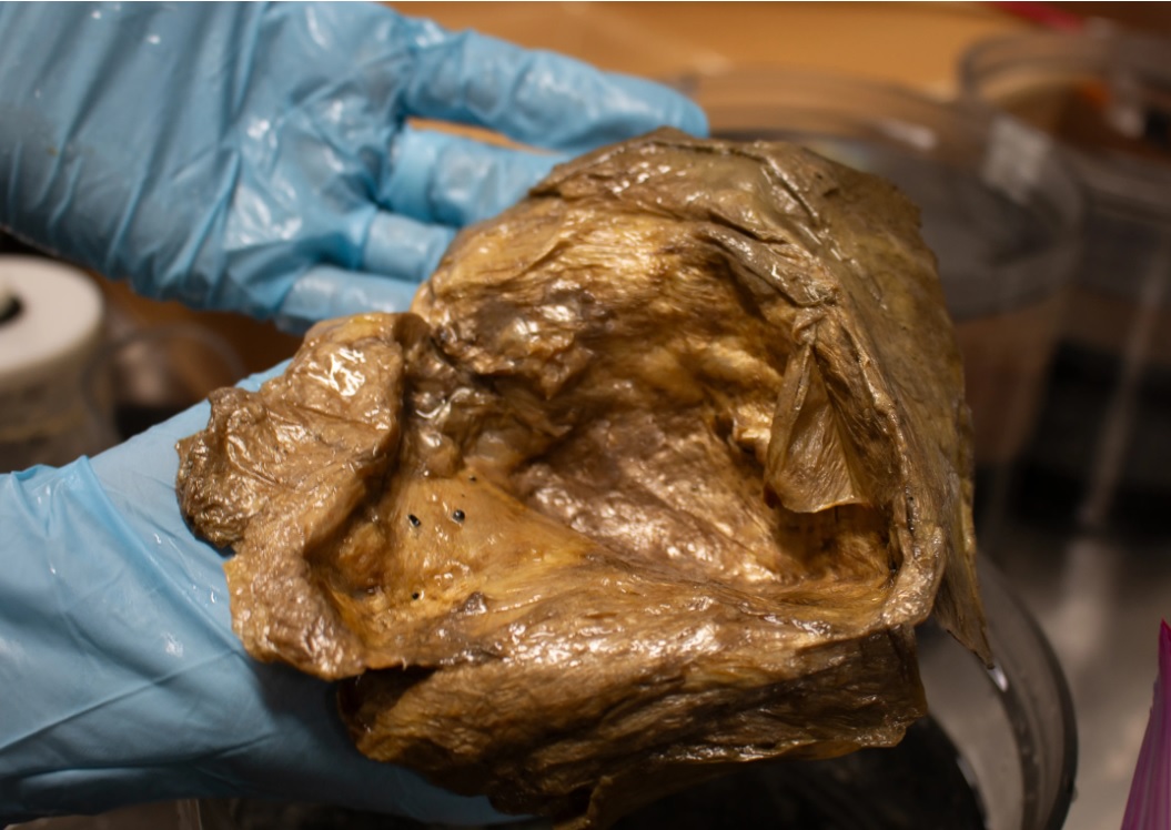 золотой шар