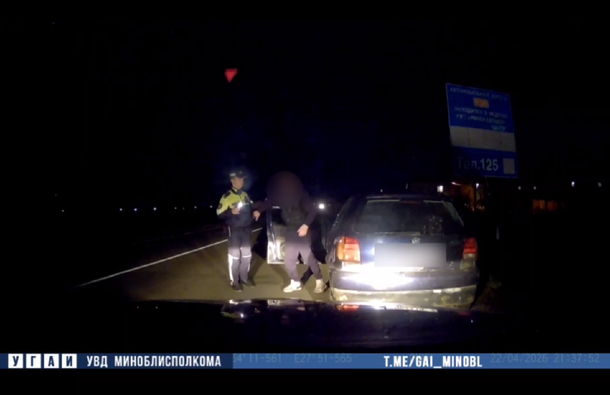 пьяный за рулем.png