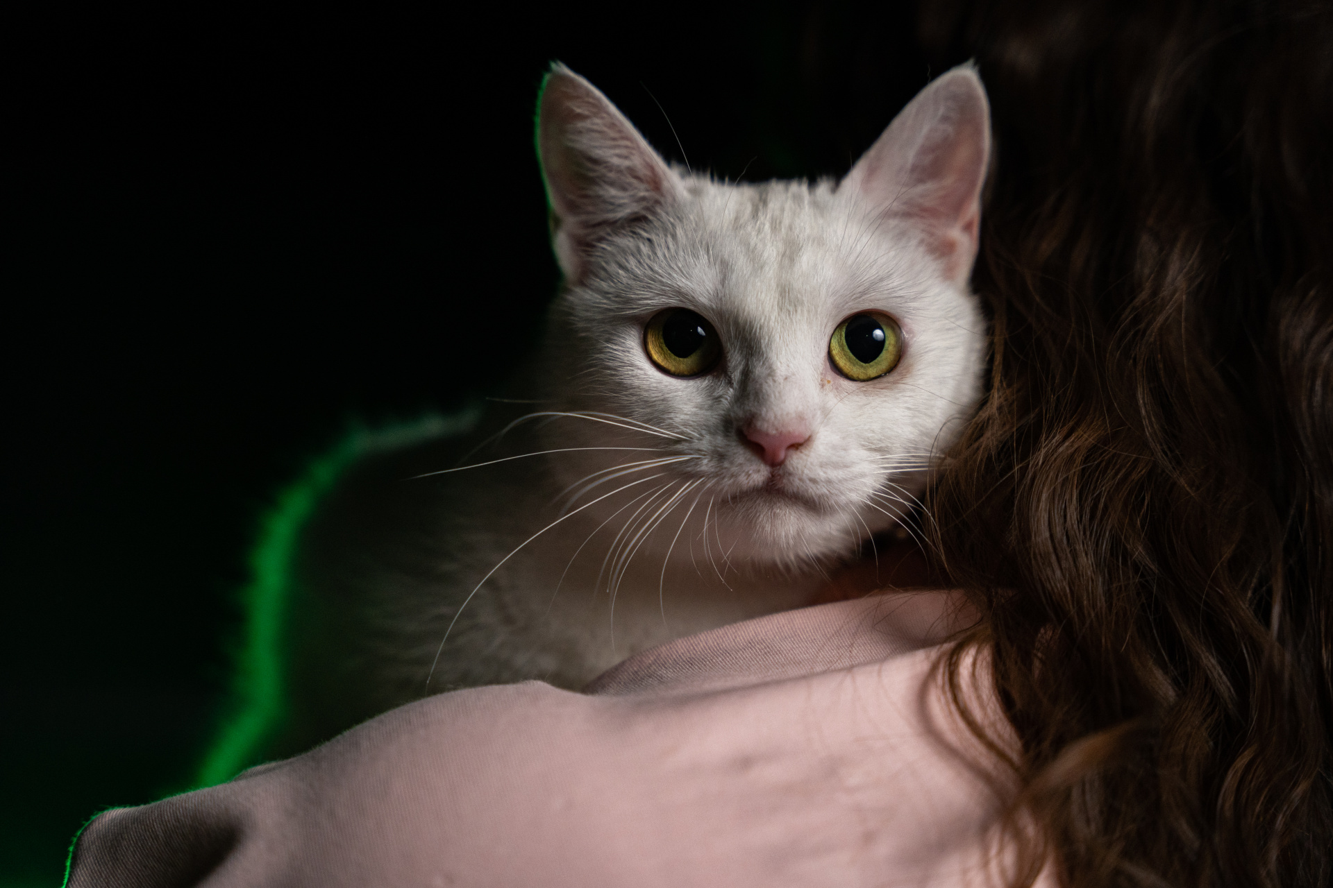 на главную фото 1.jpg