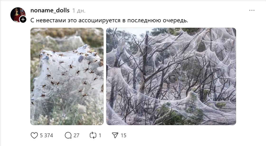 Тредс-елка-паутина