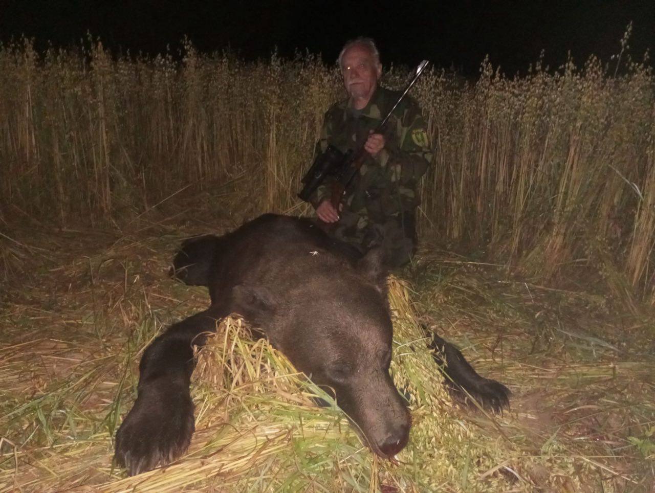 медведя добыли.jpg