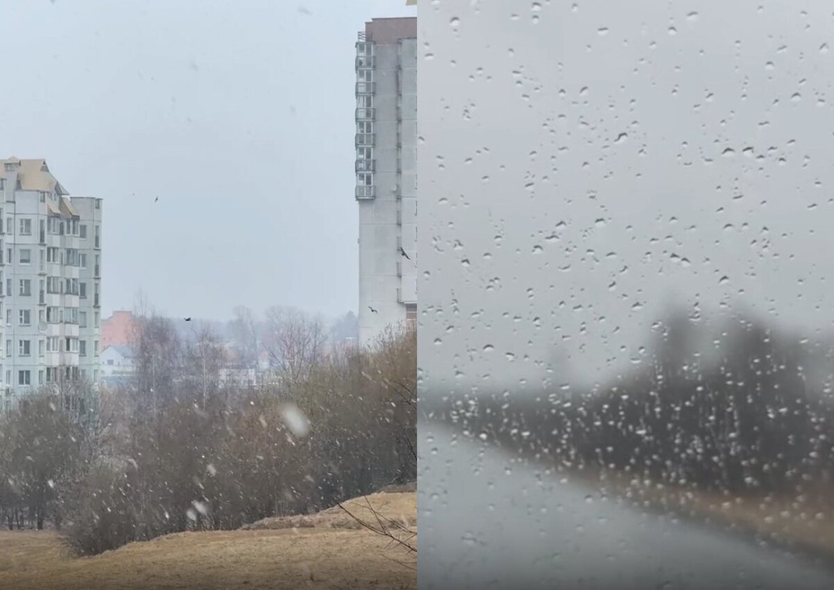 дождь и мокрый снег в Беларуси 20 марта