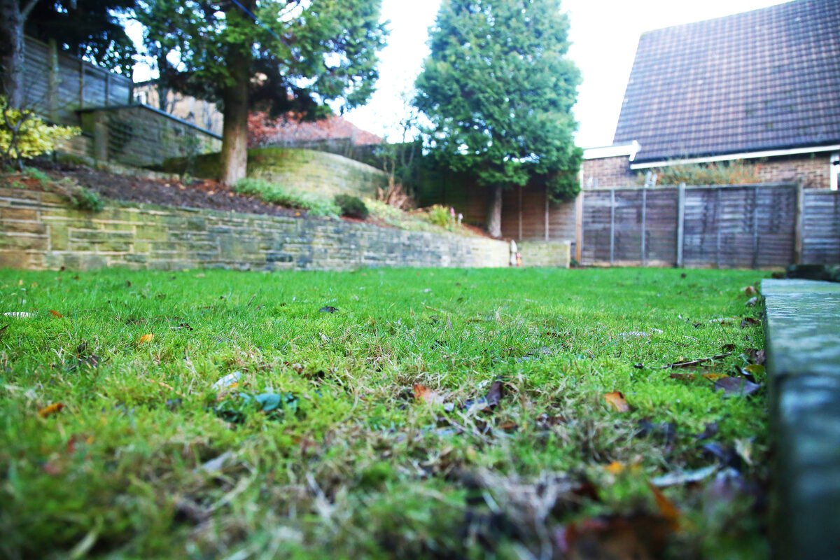 photo_2026-04-05_21-15-02 (4).jpg