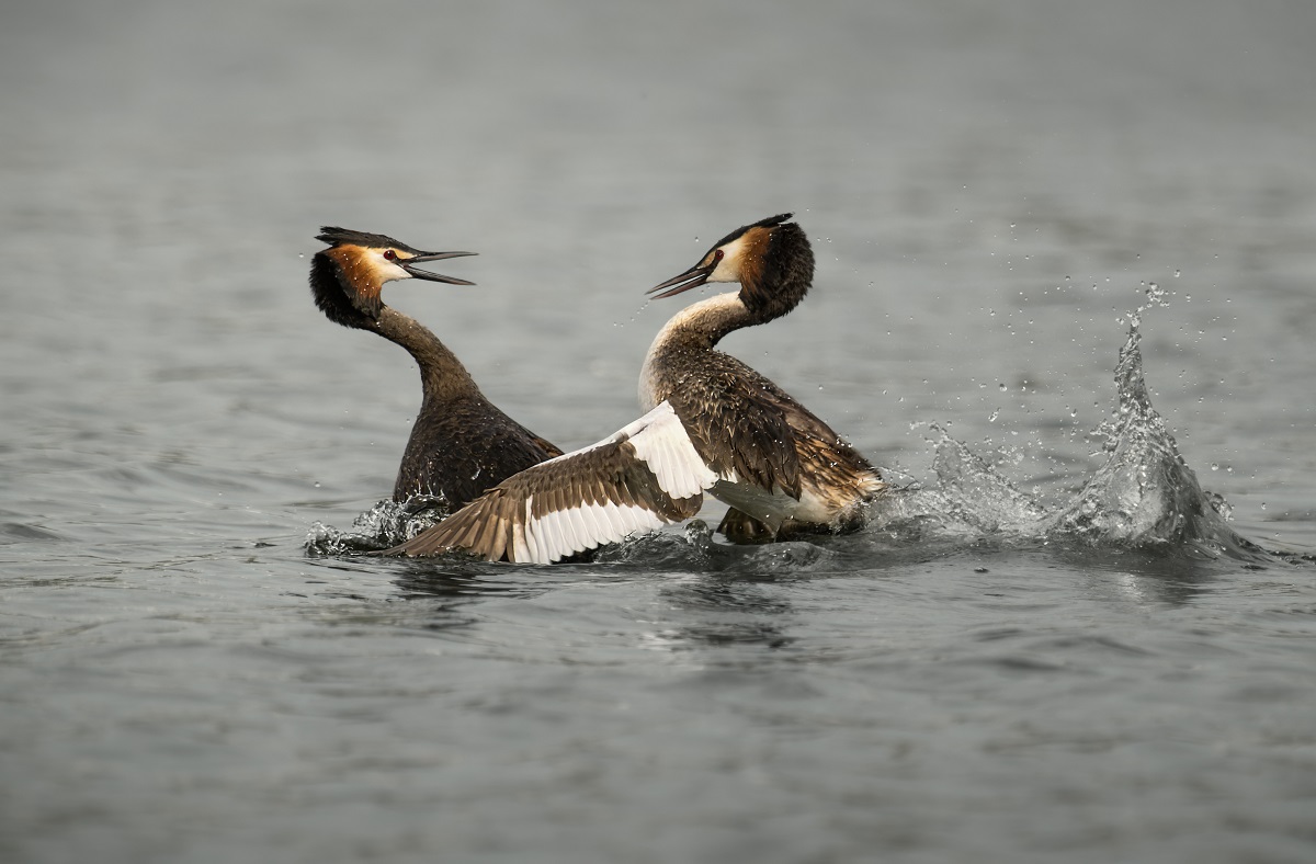 Даваи обнимемся_Романенко Дмитрий.jpg