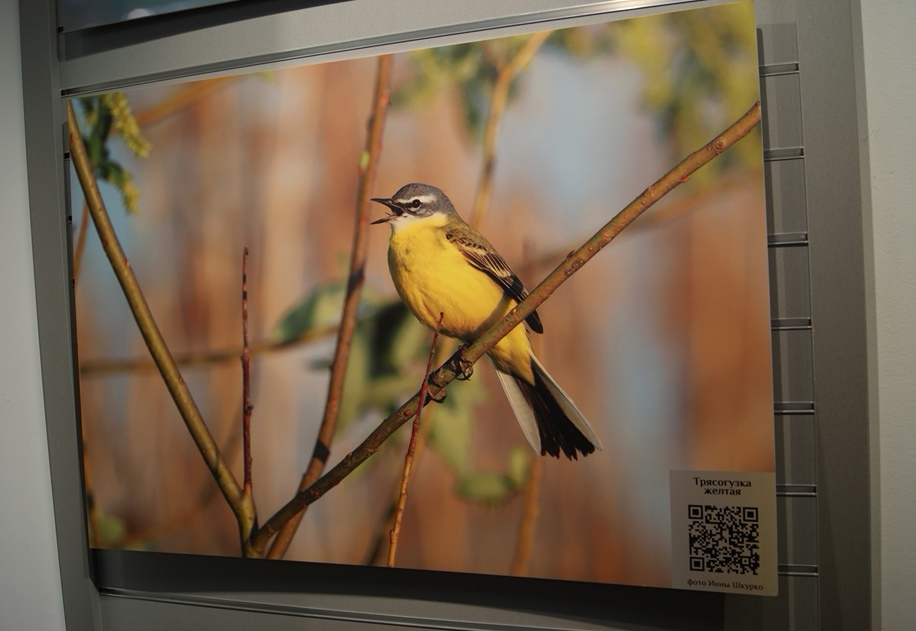 выставка 8.jpg