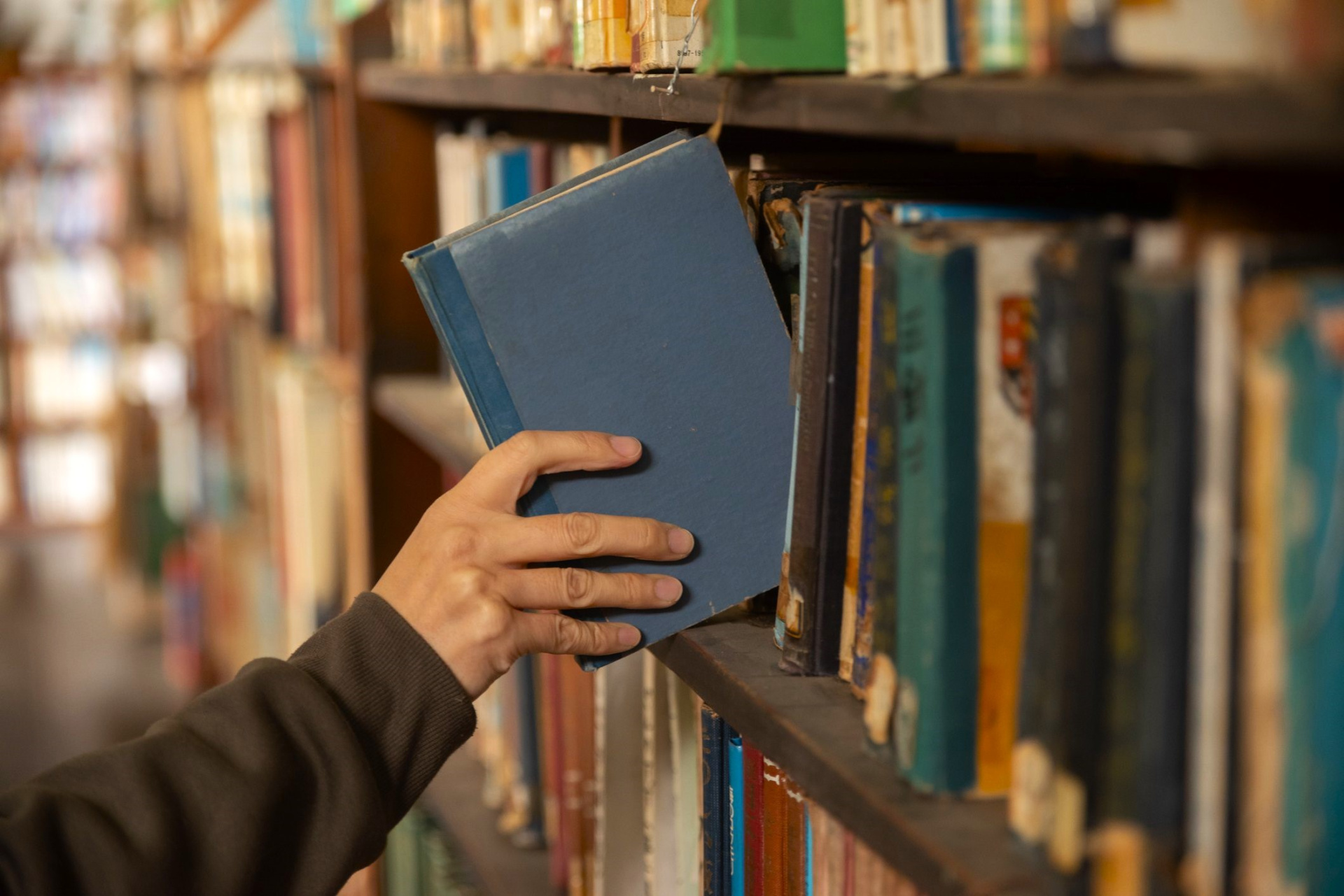 Книги на полке.jpg