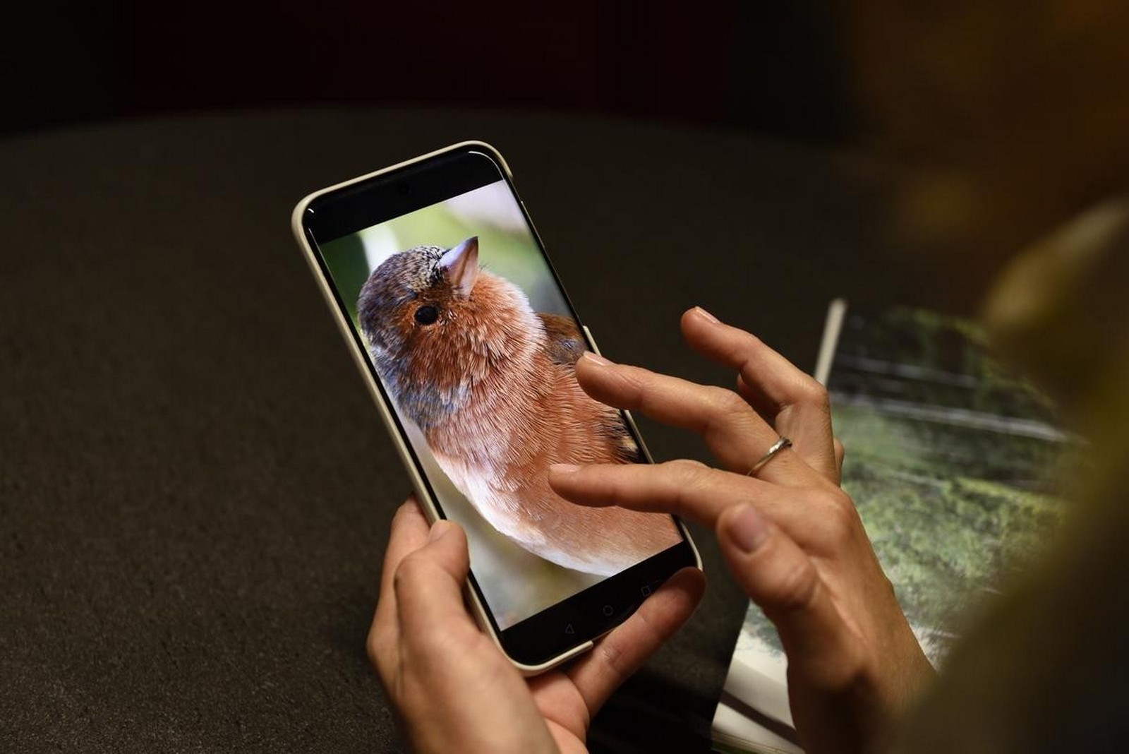 15-Птица на смартфоне.jpg