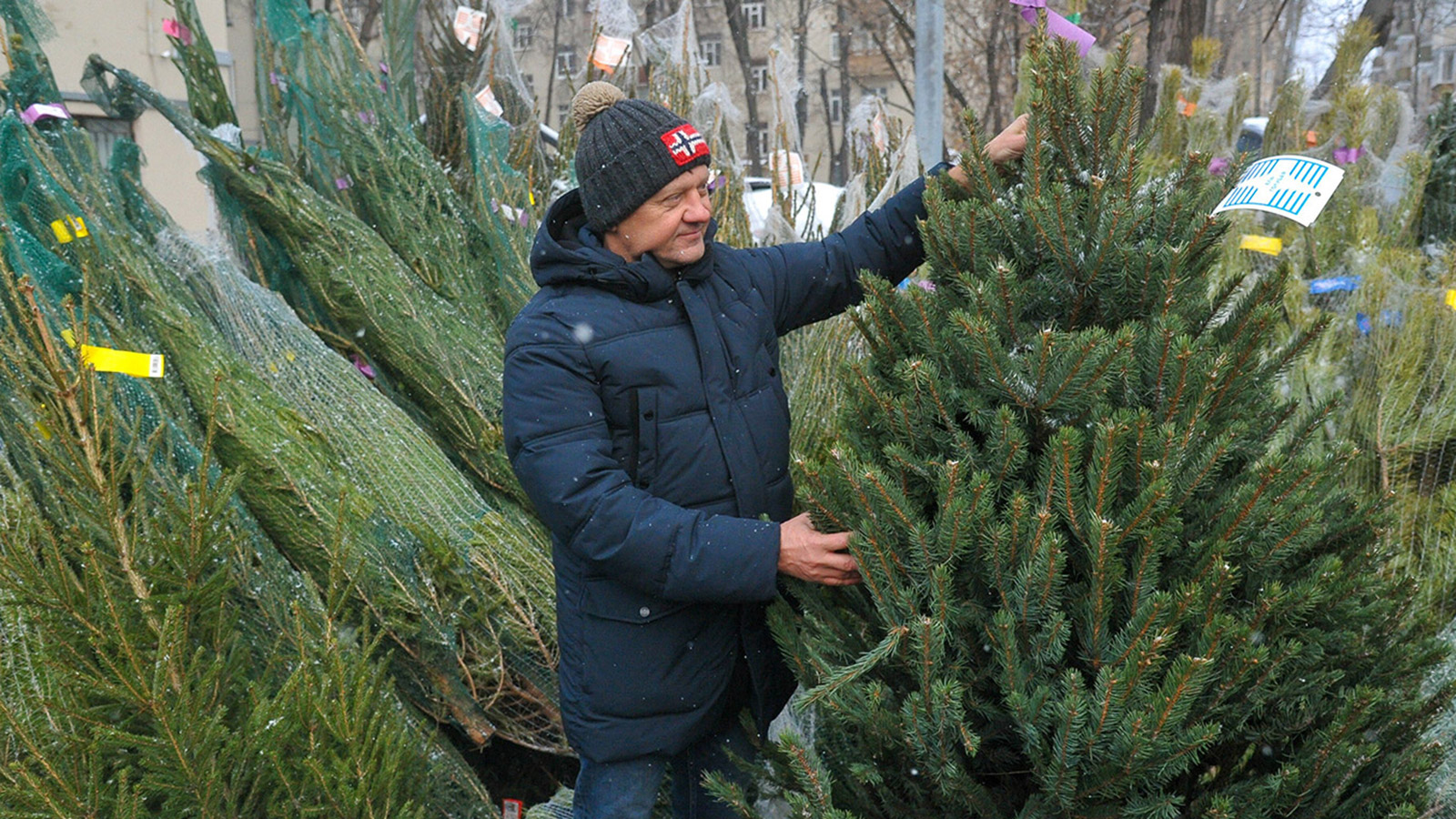 елочный базар