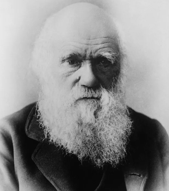 165 лет назад Дарвин опубликовал книгу, в которой изложил теорию происхождения человека (2).png