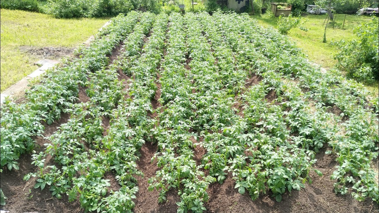 photo_2025-12-28_10-48-47 (2).jpg