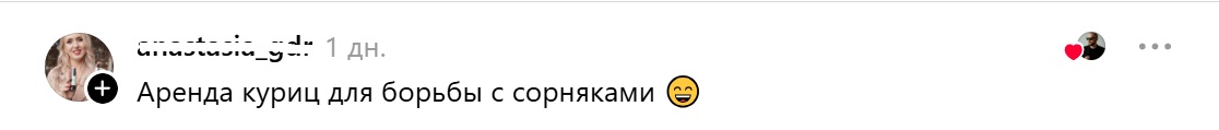 аренда куриц