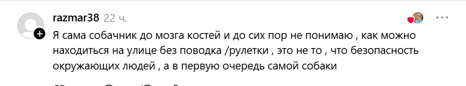 собачник до мозга костей