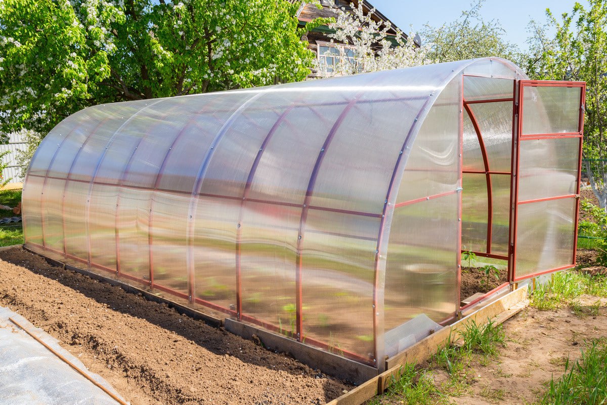 теплица2.jpg